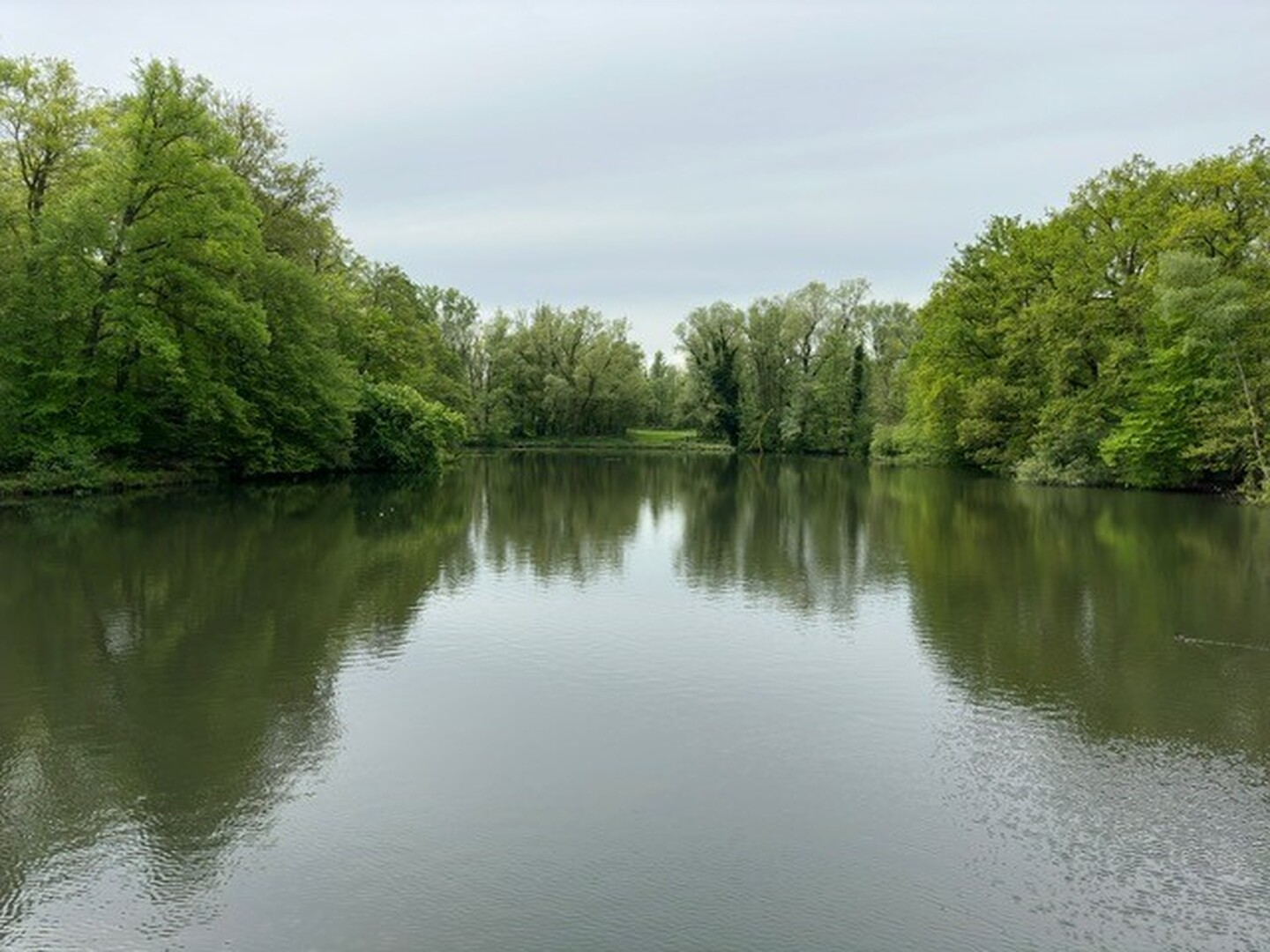 Schilde